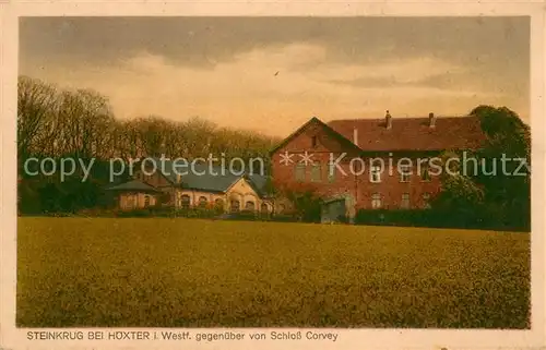 AK / Ansichtskarte Hoexter_Weser Gaststaette Steinkrug  Hoexter Weser