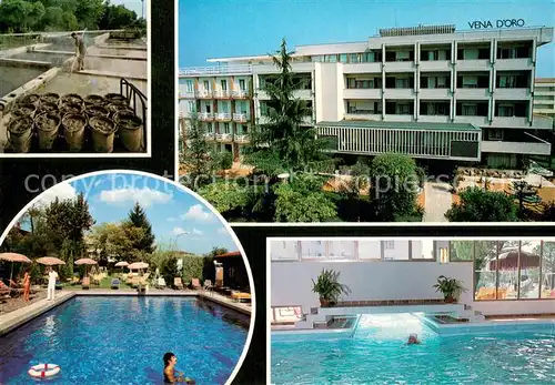 AK / Ansichtskarte Abano_Terme Hotel Terme Vena d Oro Swimming Pool Fischteiche Abano Terme