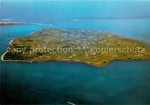 AK / Ansichtskarte Insel_Foehr Nordseeinsel Insel Amrum Insel Sylt Insel_Foehr