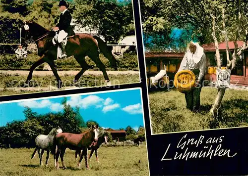 AK / Ansichtskarte Luhmuehlen Dressurreiter Pferde Imkermeister Graue Honigversand Luhmuehlen