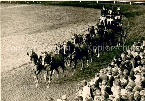 AK / Ansichtskarte Celle_Niedersachsen Reitsport Achtspaenner Celle_Niedersachsen