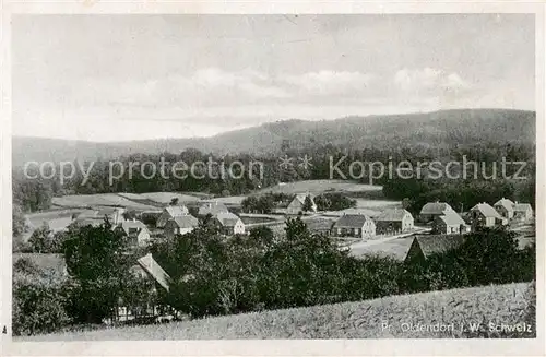 AK / Ansichtskarte Oldendorf_Preussisch Teilansicht 