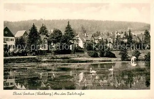 AK / Ansichtskarte Bad_Sachsa_Harz An der Talstrasse Bad_Sachsa_Harz