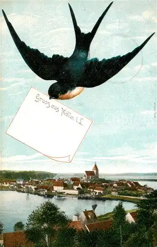 AK / Ansichtskarte Moelln__Lauenburg Grusspostkarte Teilansicht 