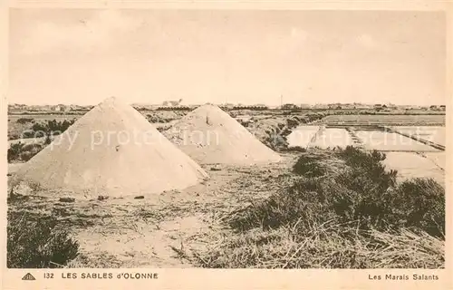 AK / Ansichtskarte Les_Sables d_Olonne Les Marais Salants Les_Sables d_Olonne