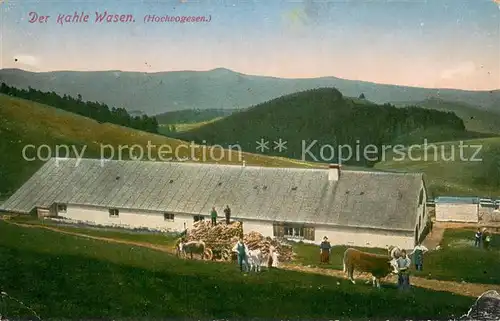 AK / Ansichtskarte Kahler_Wasen Bauernhof in den Hochvogesen Kahler_Wasen