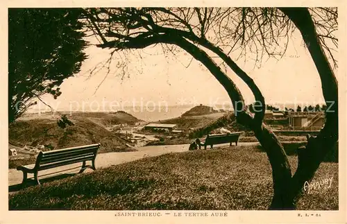 AK / Ansichtskarte Saint Brieuc_Cotes d_Armor Le Tertre Aube Saint Brieuc_Cotes d