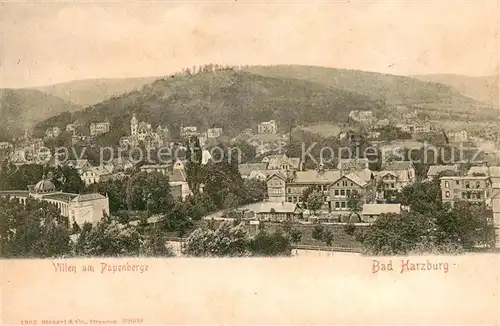 AK / Ansichtskarte Bad_Harzburg Villen am Papenberge Bad_Harzburg