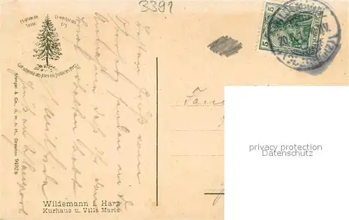 AK / Ansichtskarte Wildemann Kurhaus und Villa Maria Wildemann