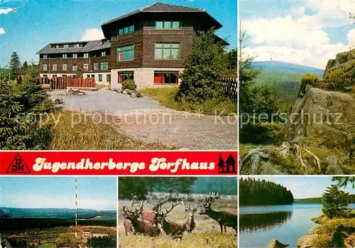AK / Ansichtskarte Torfhaus_Harz Jugendherberge Landschaftspanorama See Wild Hirsche Torfhaus Harz