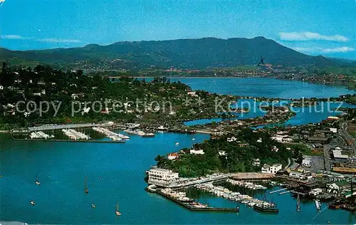 AK / Ansichtskarte Tiburon Aerial view of southern Marin County 