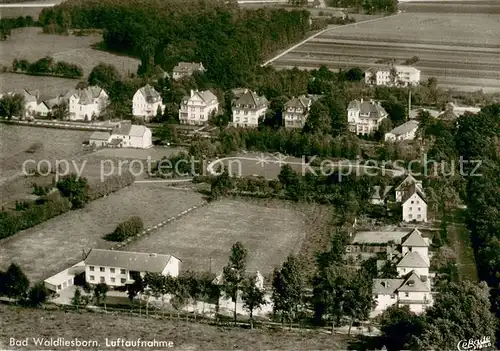 AK / Ansichtskarte Bad_Waldliesborn Fliegeraufnahme Bad_Waldliesborn