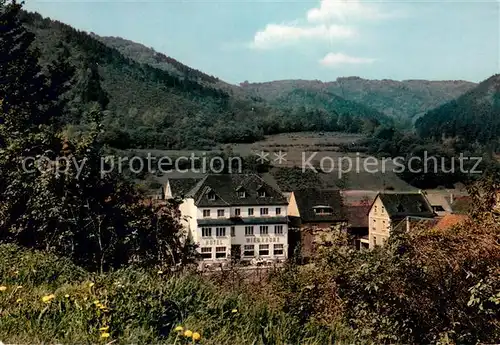 AK / Ansichtskarte Niederbreitbach Hotel Wiedkrone Landschaftspanorama Niederbreitbach