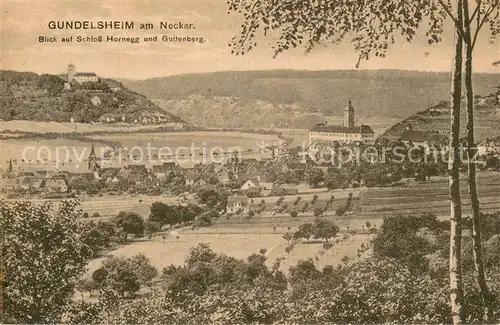 AK / Ansichtskarte Gundelsheim_Neckar Blick auf Schloss Hornegg und Guttenberg Gundelsheim Neckar