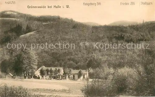 AK / Ansichtskarte Halle_Westfalen Gruenenwalde  Halle_Westfalen