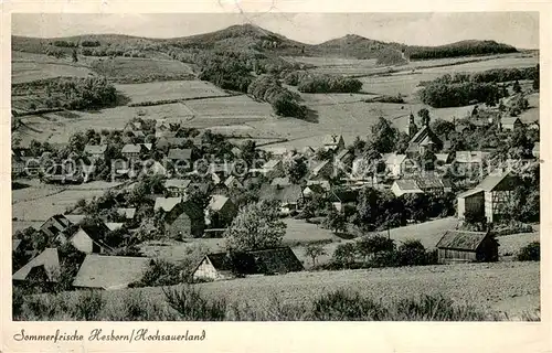 AK / Ansichtskarte Hesborn Panorama Hesborn