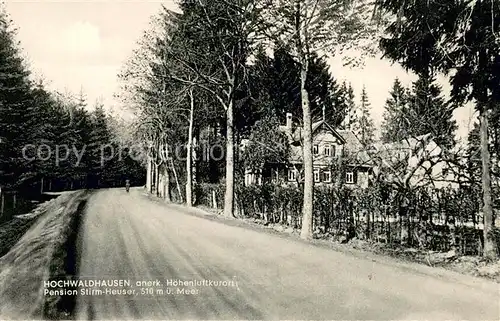 AK / Ansichtskarte Hochwaldhausen_Ilbeshausen Pension Stirm Heuser Hochwaldhausen