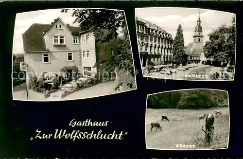 AK / Ansichtskarte Erbach_Odenwald Gasthaus Zur Wolfsschlucht Marktplatz Wildpark Erbach Odenwald