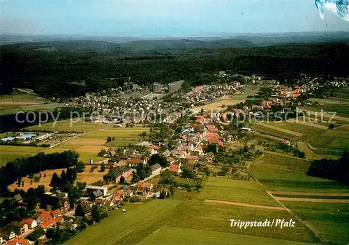 AK / Ansichtskarte Trippstadt Erholungsort im Pfaelzerwald Trippstadt
