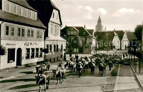 AK / Ansichtskarte Winterberg_Hochsauerland Viehauftrieb Winterberg_Hochsauerland