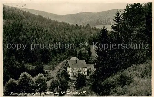 AK / Ansichtskarte Winterberg_Hochsauerland Daubermuehle Panorama Winterberg_Hochsauerland