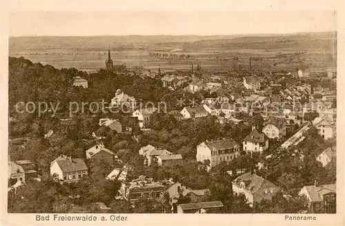AK / Ansichtskarte Bad_Freienwalde Panorama Bad_Freienwalde