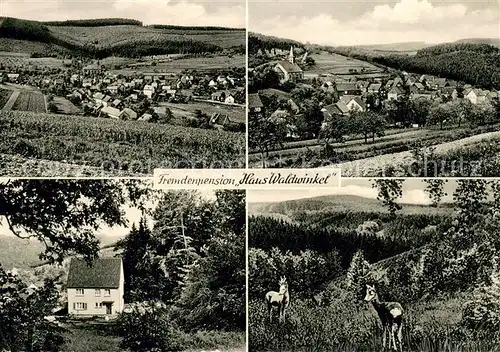 AK / Ansichtskarte Betzdorf_Sieg Gesamtansicht und Fremdenpension Haus Waldwinkel Betzdorf Sieg