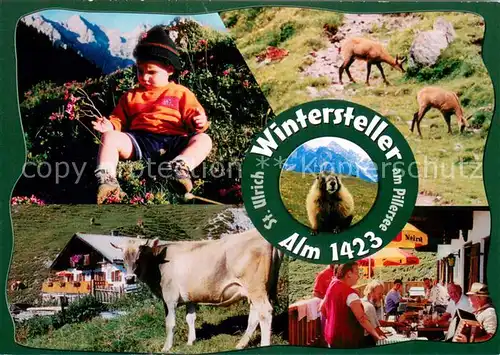 AK / Ansichtskarte St_Ulrich_Pillersee Wintersteller Alm Terrasse Kind Kuh Murmeltier Wandergebiet Alpen St_Ulrich_Pillersee