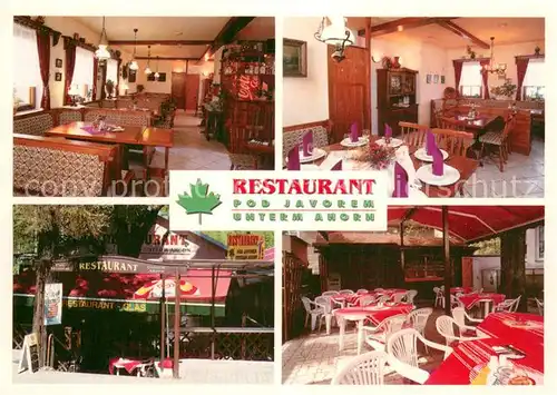 AK / Ansichtskarte Potucky_Breitenbach_Czechia Restaurant Pod Javorem Unterm Ahorn 