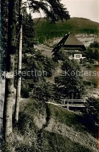 AK / Ansichtskarte Herrenalb_Schwarzwald Hotel Pension Lacher im Park 