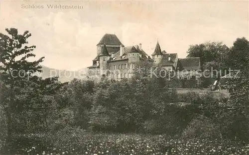 AK / Ansichtskarte Burg_Leimental Schloss Wildenstein Burg_Leimental