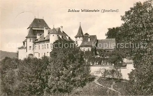 AK / Ansichtskarte Burg_Leimental Schloss Wildenstein Burg_Leimental