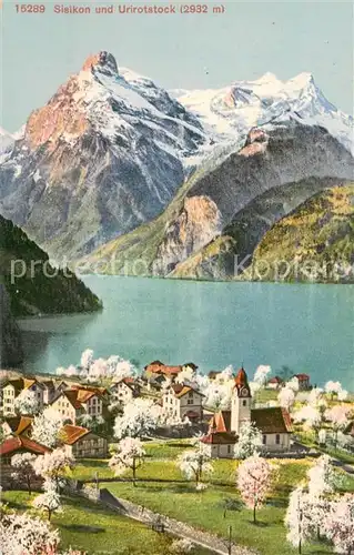 AK / Ansichtskarte Sisikon Panorama Blick ueber die Vierwaldstaettersee Urirotstock Urner Alpen Sisikon