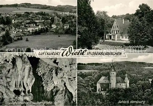 AK / Ansichtskarte Wiehl_Oberbergischer_Kreis Gesamtansicht Waldgaststaeaete Tropfsteinhoehle Schloss Homburg Tropfsteinhoehle Traubengrotte 