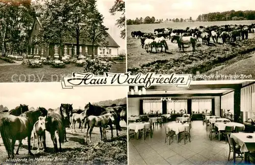 AK / Ansichtskarte Duelmen wildpferde im Merfelder Bruch und Gasthaus Waldfrieden am Wildpark Duelmen