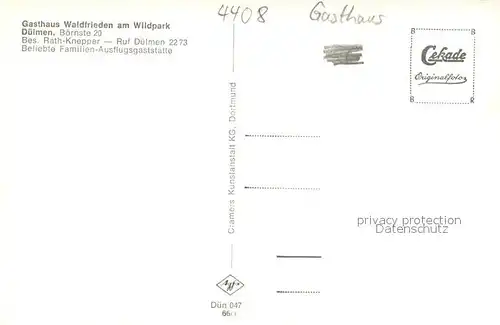 AK / Ansichtskarte Duelmen wildpferde im Merfelder Bruch und Gasthaus Waldfrieden am Wildpark Duelmen