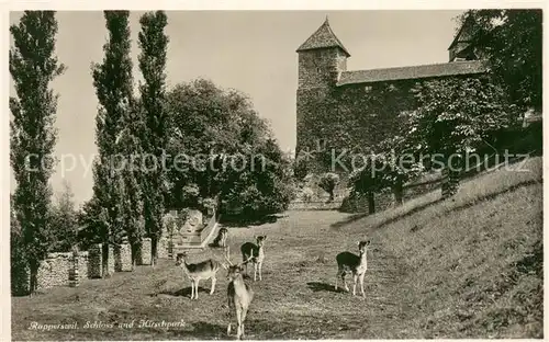 AK / Ansichtskarte Rapperswil_ Jona_SG Schloss und Hirschpark 