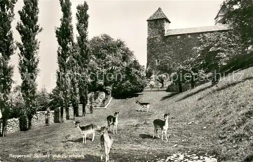 AK / Ansichtskarte Rapperswil_ Jona_SG Schloss und Hirschpark 