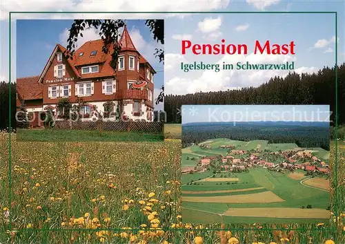 AK / Ansichtskarte Igelsberg Pension Mast Panorama Igelsberg