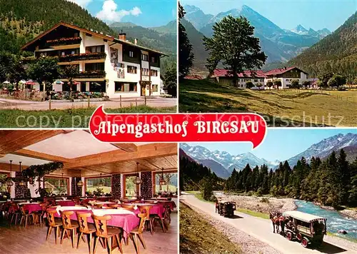 AK / Ansichtskarte Oberstdorf Alpengasthof Pension Birgsau Gaststube Pferdewagen Oberstdorf