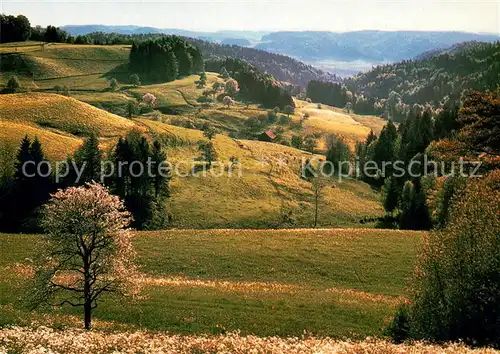 AK / Ansichtskarte Sitzberg_ZH Landschaftspanorama Zuercher Oberland Kartenaktion Gewaltfreie Aktion Kaiseraugst 1986 