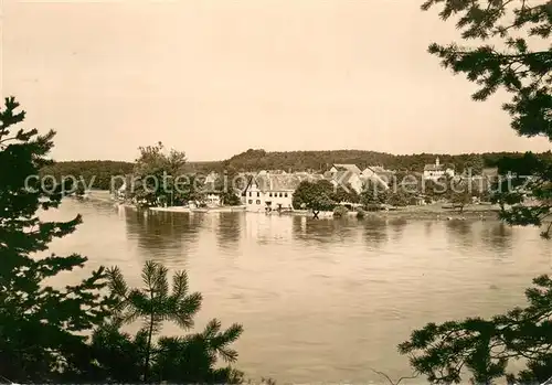 AK / Ansichtskarte Ellikon_Rhein Blick ueber den Rhein Gasthof zum Schiff Ellikon Rhein