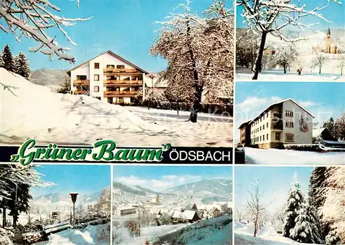 AK / Ansichtskarte oedsbach Hotel Pension Gruener Baum Teilansichten Panorama oedsbach