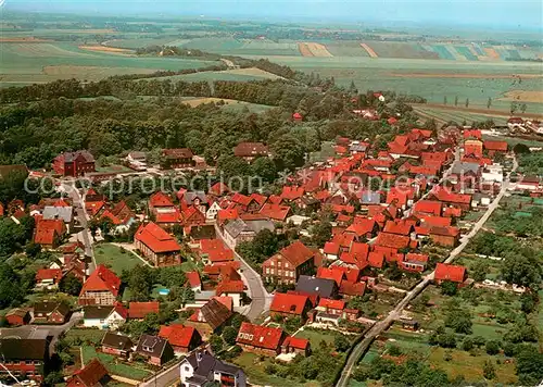 AK / Ansichtskarte Neuhaus_Oste Fliegeraufnahme Neuhaus_Oste