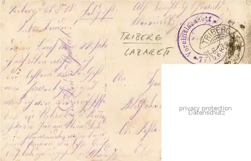 AK / Ansichtskarte Triberg_Schwarzwald Lazarett Verwundete Gruppenaufnahme Triberg Schwarzwald