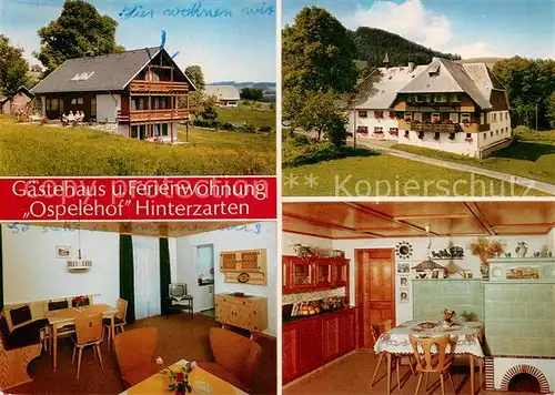 AK / Ansichtskarte Hinterzarten Gaestehaus Ferienwohnungen Ospelehof im Schwarzwald Hinterzarten