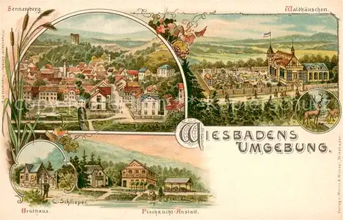 AK / Ansichtskarte Wiesbaden Sonnenberg Waldhaeuschen Bruthaus Fischzucht Anstalt Wiesbaden