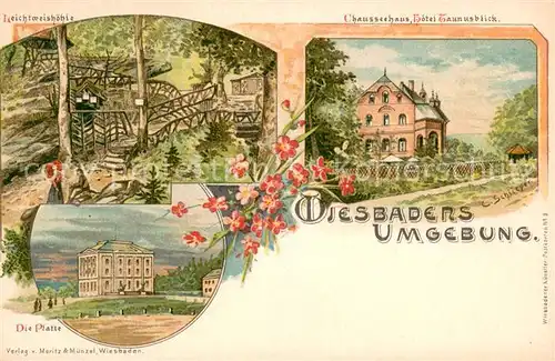 AK / Ansichtskarte Wiesbaden Leichtweishoehle Chausseehaus Hotel Taunusblick Die Platte Wiesbaden