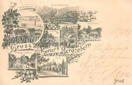 AK / Ansichtskarte Bergzabern_Bad Kurhaus Behret Kurhaus Westenhoefen Kurhaus Holler Louisenruhe Marktplatz und Rathaus Schloss Bergzabern_Bad