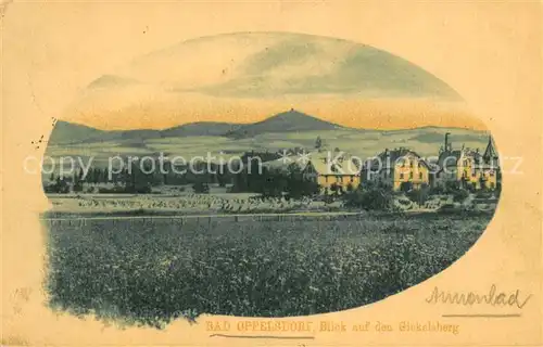 AK / Ansichtskarte Bad_Oppelsdorf_Opolno_Zdroj Blick zum Giekelsberg Bad_Oppelsdorf